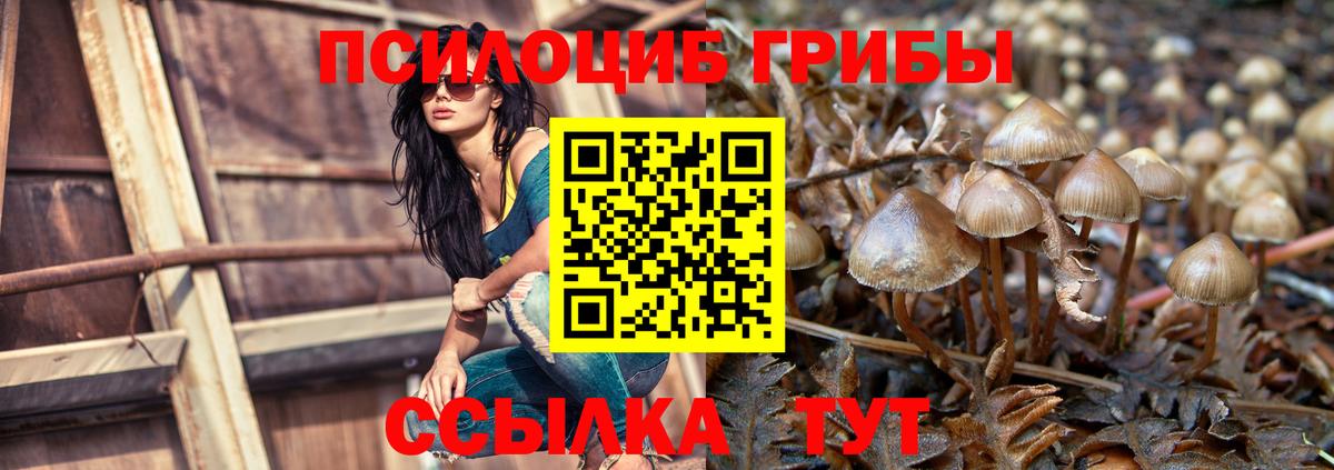 Галлюциногенные грибы Psilocybe  Вход с VPN  Муравленко 
